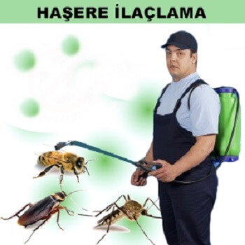 Derince Böcek İlaçlama